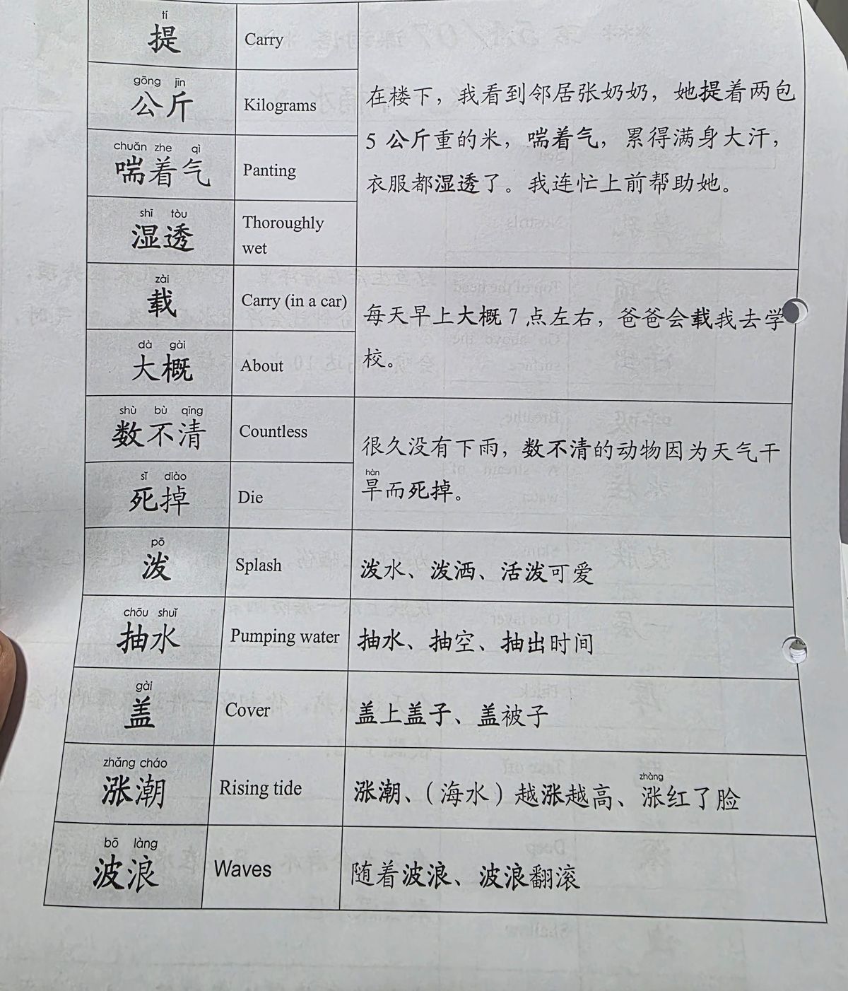 P5 Chinese vocabulary worksheet showing characters and English meanings